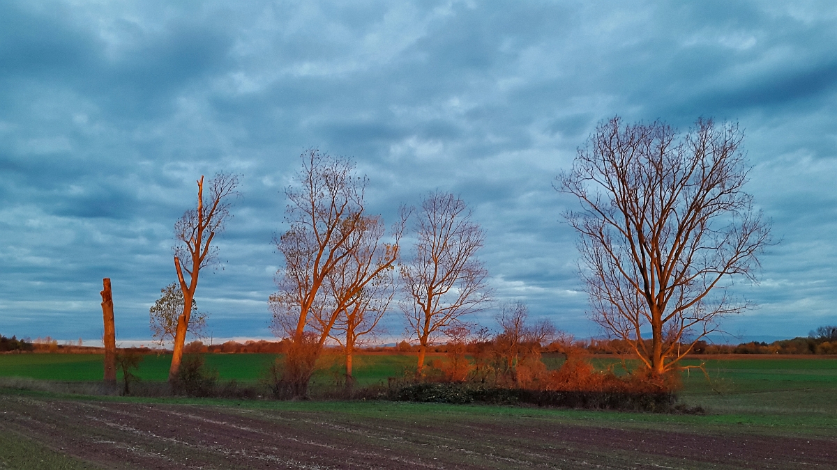 20181112 074507 - Kopie