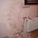 IMGP4543