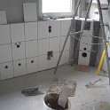 IMGP4855
