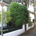 IMG 1515