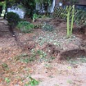 IMG 1529