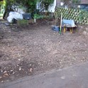IMG 1539