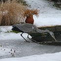 IMG 5205