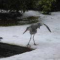 IMG 5244