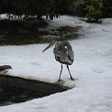 IMG 5245