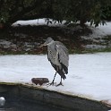 IMG 5249