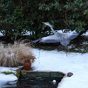 IMG 5251