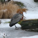 IMG 5193