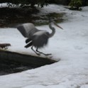 IMG 5241