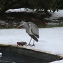 IMG 5248