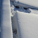 IMG 3339