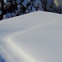 IMG 3340
