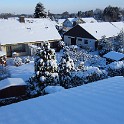 IMG 3350