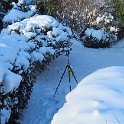 IMG 3355