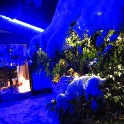 IMG 3378