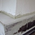 IMG 3486