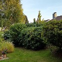 20181009 175542 - Kopie - Kopie