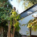 20181103 114324 - Kopie - Kopie