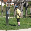 IMG 2613