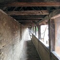 IMG 3833