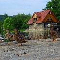 P1050973