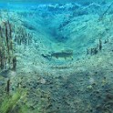 IMG 0858