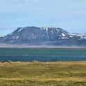 IMG 4237