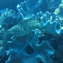 IMG 0033
