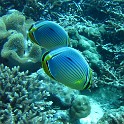 IMG 0106
