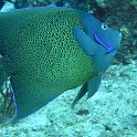IMG 0508