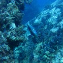 IMG 0542