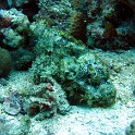 IMG 0573