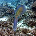 IMG 0577