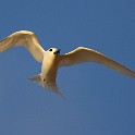 IMG 5372