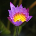 IMG 5583