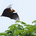 IMG 5606 1