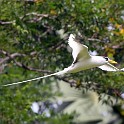 IMG 5701 1