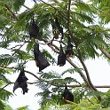 IMG 5747