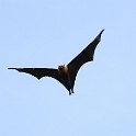 IMG 5762