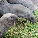 IMG 5807