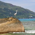 IMG 5850