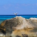 IMG 5873 1