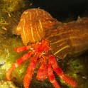 IMG Thomas 1558