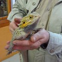 IMG 0556