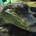 IMG 0701
