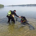 IMG 2487