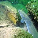 IMG 2519