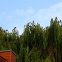 IMG 2565