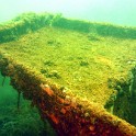 IMG 2468