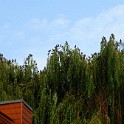 IMG 2565